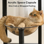 Modern Cat Tree, Wood Cat Tower with Steel Frame, Scratching Posts, Cat Capsule, Plush Mat, Bell Dangling Toy, Aesthetic Minimalist Heavy-Duty Cat Climbing Tree for Large Indoor Adult Cats-Black