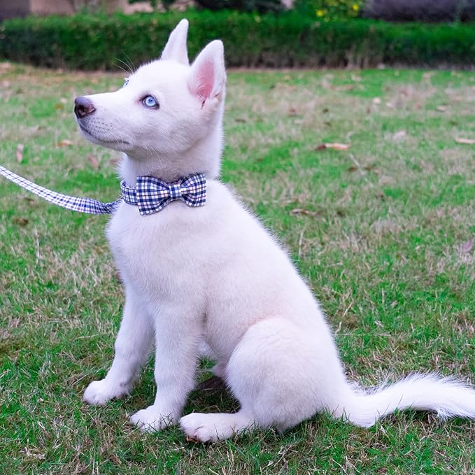Tunkoo Dog Collar with Bow Tie Elegant Plaid Soft Comfy Cotton Adjustable Collar Premium Metal Buckle,Small Medium Large Puppy Cat Outdoor Training Walking Running（Bule Grid，M）