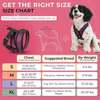 Gooby Comfort X Head In Harness - Purple, X-Large - No Pull Small Dog Harness Patented Choke-Free X Frame - Perfect on the Go Dog Harness for Medium Dogs No Pull, Small Dogs for Indoor and Outdoor Use
