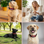 Comfort Fit Dog Collar, Anti-Choke Neck Safe Dog Training Collar, Wide Padded, Breathable, Adjustable with Dual D-Rings, Soft Cushion Neck Protector for Dogs (L, Red)