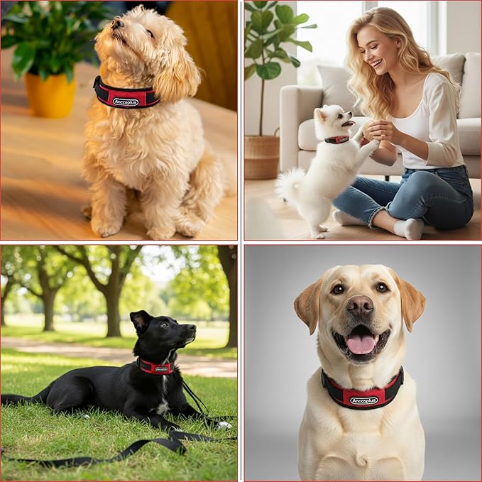 Comfort Fit Dog Collar, Anti-Choke Neck Safe Dog Training Collar, Wide Padded, Breathable, Adjustable with Dual D-Rings, Soft Cushion Neck Protector for Dogs (S, Red)