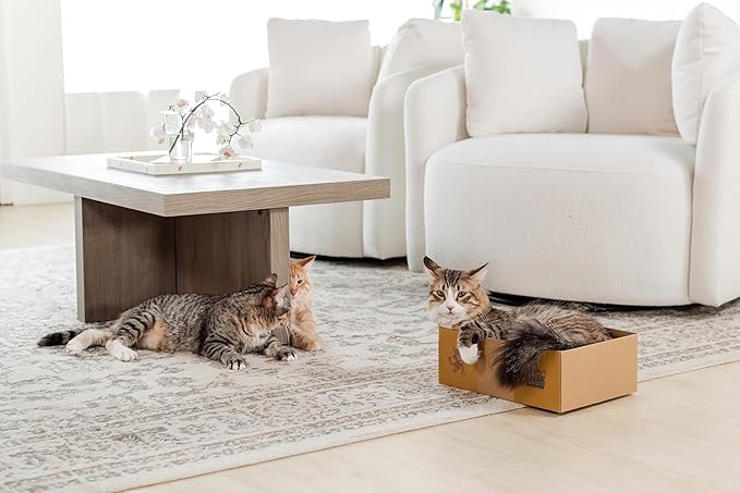 Sexy Liza's Cat Scratching Box-4 Four Reversible Scratch Pads; Lasts 4 Times Longer. No Assembly -Ready to go. Cat Scratch Lounger and Bed.. Comfy Size for The Comfy Chonk.
