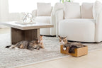 Sexy Liza's Cat Scratching Box-4 Four Reversible Scratch Pads; Lasts 4 Times Longer. No Assembly -Ready to go. Cat Scratch Lounger and Bed.. Comfy Size for The Comfy Chonk.