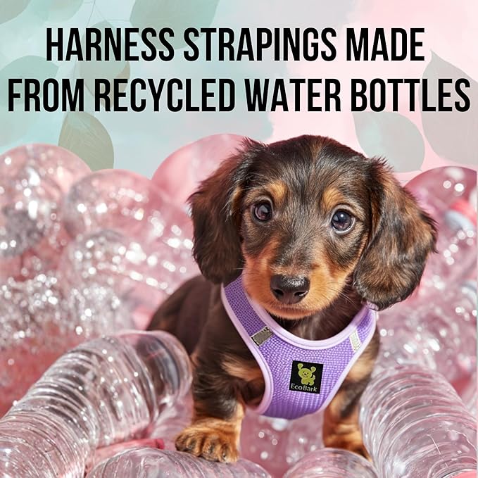 EcoBark Step in Dog Harness Reflective Soft Ultra Padded Mesh Dog Harnesses for XXS, XS, Small, and Medium Dogs Eco-Friendly Comfort Secure Halter No Pull Adjustable Pet Vest