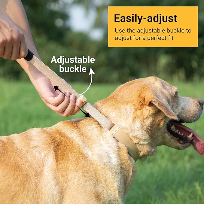 SVD.PET Dog Prong Collar for No-Pull Training, Quick-Release Buckle Adjustable Pinch Collar for Large Dogs (Tan, Large Size)