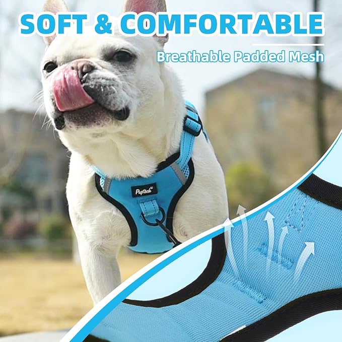 PUPTECK No Pull Dog Harness Small Sized Dog, Adjustable Reflective Escape Proof Easy Control, Comfortable Soft Padded Step in Pet Vest Harness, Blue, S