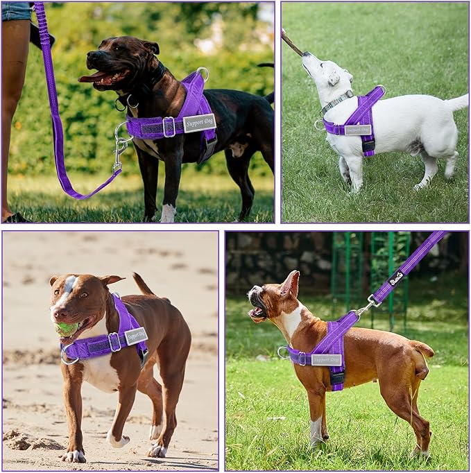 Lukovee No Pull Dog Harness & Leash Set - Heavy Duty Dog Vest Harness with Soft Padded for Medium Large Dogs, Adjustable Reflective Tactical Pet Harness for Easy Walk and Training (L, PU)