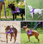 Lukovee No Pull Dog Harness & Leash Set - Heavy Duty Dog Vest Harness with Soft Padded for Medium Large Dogs, Adjustable Reflective Tactical Pet Harness for Easy Walk and Training (S, PU)