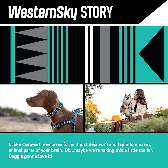 Wolfgang Heavy Duty Martingale Dog Collar with Quick Release Nylon Buckle for Walking & Training, WesternSky Print, Small