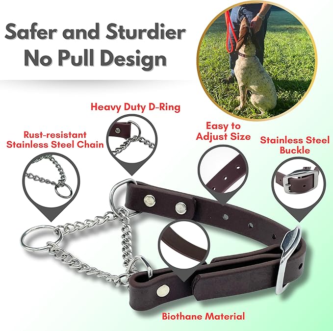 Martingale Collar for Dogs, Biothane, Stainless Steel Hardware, No Pull, Made in The USA, Professional Grade, Extra Large, Brown