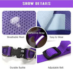 FEimaX Dog Harness and Leash Set for Walking, Soft Mesh Adjustable Easy Control Lightweight Cat Vest Harnesses with Reflective Strips, Escape Proof Small Dogs Cats Vests