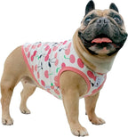 iChoue 100% Breathable Cotton Pug Halloween Cartoon T Shirts Cute Clothes for Dogs Vest Tank Tops Puppy French Bulldog Frenchie English Boston Terrier Cherry - Small