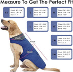 Dog Coat, Waterproof Dog Winter Jacket with Pocket, Reflective Adjustable Pet Snow Vest, Warm Cozy Fleece Sweater for Small Medium Extra Large Dogs - Blue, L