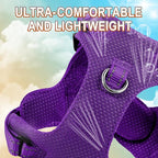 Dog Harness Step in Dog Vest Harness, Reflective Adjustable Puppy No Pull Harness Breathable Soft for Small and Medium Dogs Cats, Purple, XXS