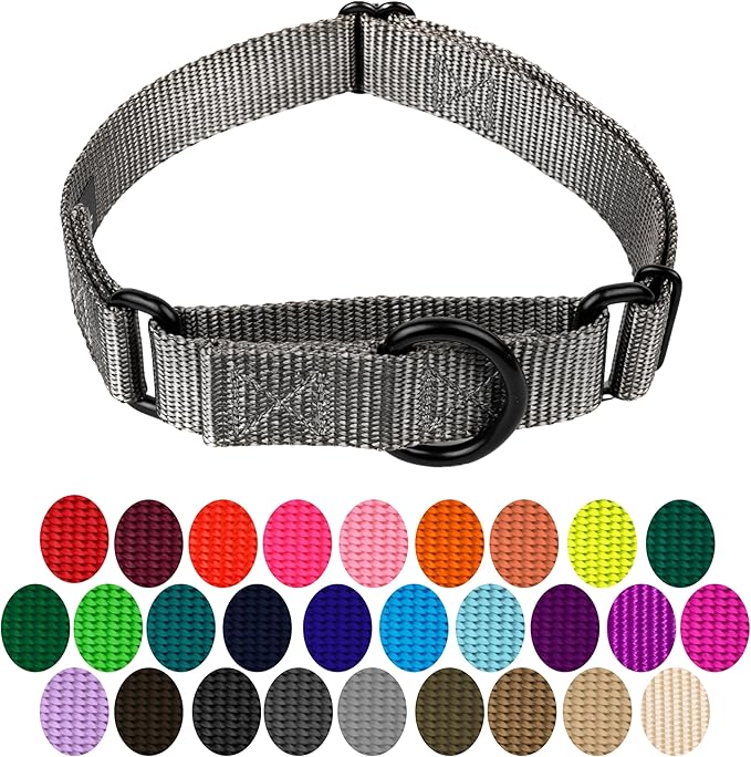 Country Brook Petz - Martingale Dog Collar - Heavy-Duty Training Collar with No Buckle - Service Dog Collar for All Pups - 10+ Cool Colors (Charcoal, 3/4 Inch, Small)