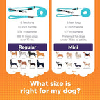 Heather's Heroes Sidekick Dog Headcollar with Leash - Sidekick Leash for Dogs, Effective Dog Training Tool for Leash Reactivity and Behavior Issues (Turquoise, Mini (1/4"))