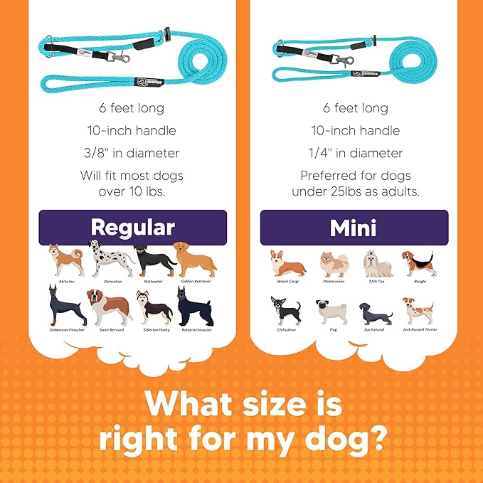Heather's Heroes Sidekick Dog Headcollar with Leash - Sidekick Leash for Dogs, Effective Dog Training Tool for Leash Reactivity and Behavior Issues (Turquoise, Mini (1/4"))
