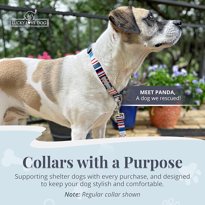Lucky Love Dog Martingale Dog Collar - Adjustable, No-Slip, Durable, & Soft Webbing Collar for Male and Female Dogs Ideal for Training & Walking - Linus, Large