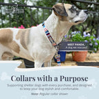 Lucky Love Dog - Adjustable Dog Collar with Easy Click Buckle for Medium, Durable, & Comfortable for Male & Female Dogs, Pet Collar for Puppies & Adult Dogs - Linus, Medium