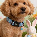 ARING PET Easter Dog Collar, Cute Blue Rabbit Egg Floral Pet Collars with Quick Release Buckle for Puppy Small Medium Large Boy Girl Dogs-M