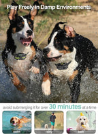 Dog Shock Collar 3 Pack - Dog Training Collar with Remote IP65 Waterproof E Collar for Dogs Training with Shock Vibrate Beep and Light Modes for Small Medium Large Dogs