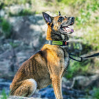OneTigris Tough Dog Collars, Tactical Dog Collar with Handle, Milltary Adjustable Dog Collar with Heavy Duty Metal Buckle for Training (Large(Pack of 1), Black)