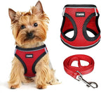 Dog Harness for Small Dogs and Leash Set, Honeycomb Grid, Reflective Lightweight Harness & Anti-Twist Pet Lead Multi Color, Size: XS-S-M. (XS, Black & Red)