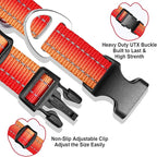 Martingale Collar for Dogs with UTX Buckle Reflective Ombre Nylon Dog Collar for No Pull Training Walking