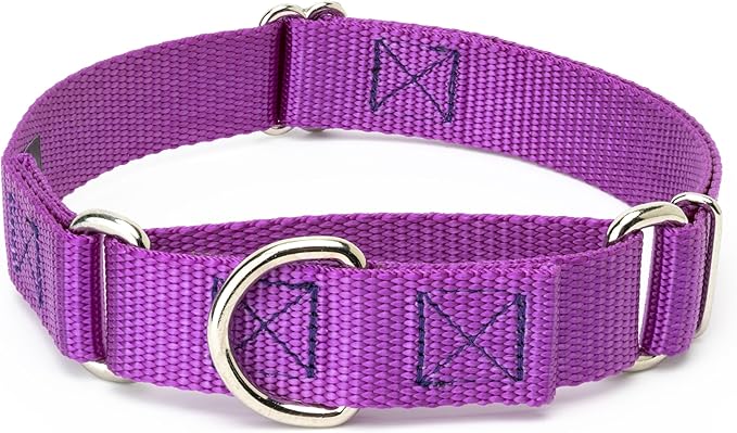 Country Brook Petz - Martingale Dog Collar - Heavy-Duty Training Collar with No Buckle - Service Dog Collar for All Pups - 10+ Cool Colors (Bright Purple, 5/8 Inch, Extra Small)