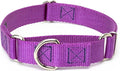 Country Brook Petz - Martingale Dog Collar - Heavy-Duty Training Collar with No Buckle - Service Dog Collar for All Pups - 10+ Cool Colors (Bright Purple, 5/8 Inch, Extra Small)