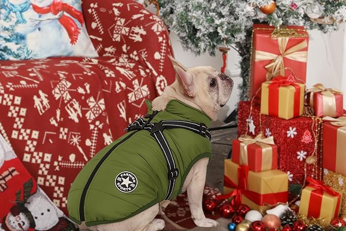 Aiboria Dog Jackets for Winter Windproof Waterproof 2 in 1 Outfit Cold Weather Coat Dog Vest Harness Puppy Winter Warm Jacket Green XXL
