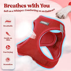 rabbitgoo Dog Harness Small Sized and Leash Set, Step in Soft Light Puppy Vest, Breathable Mesh Pet Harness, Reflective for Safe Easy Walking, Red M