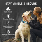 Orange Martingale Collar for Dogs - Heavy Duty Nylon Pet Collars for Escape-free, No Pull Training & Walking with Alloy Metal Release Buckle & Reflective D Ring, One Time Adjustment, Safe & Secure, XL