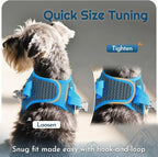 Eagloo Small Dog Harness and Leash Set, Step in Puppy Vest with Breathable Soft Mesh, Walking Reflective Pet Harness for Medium Small Dogs, Blue, L