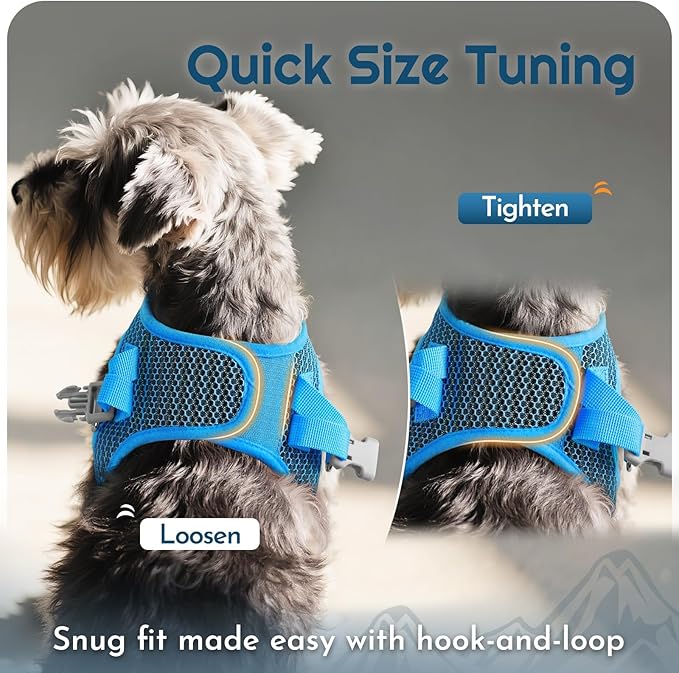 Eagloo Small Dog Harness and Leash Set, Step in Puppy Vest with Breathable Soft Mesh, Walking Reflective Pet Harness for Small Dogs, Blue, XS