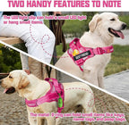 AUROTH Dog Harness and Leash Set, Soft Padded Service Dog Vest with 5.25FT Dog Leash, No Choke, Easy On Pet Vest, Adjustable Reflective No Pull Dog Harness for Large Dogs, Easy Walking and Training