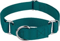Country Brook Petz - Martingale Dog Collar - Heavy-Duty Training Collar with No Buckle - Service Dog Collar for All Pups - 10+ Cool Colors (Teal, 1 Inch, Medium)