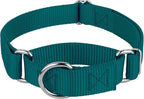Country Brook Petz - Martingale Dog Collar - Heavy-Duty Training Collar with No Buckle - Service Dog Collar for All Pups - 10+ Cool Colors (Teal, 3/4 Inch, Small)