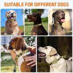 Kazazoo Martingale Collar for Dogs with Quick Release Buckle Adjustable Soft Durable Dog Collar for Small Medium Large No Pull Training Dog Collars-Yellow&Blue XL