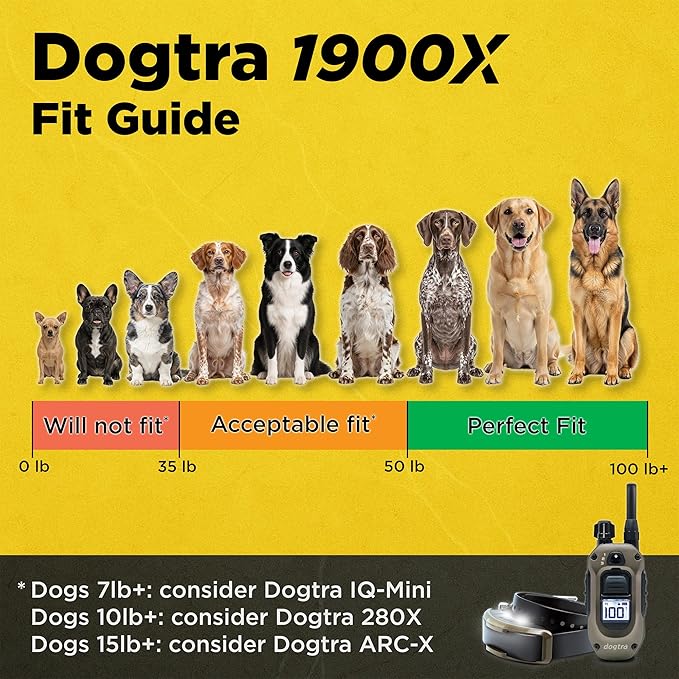 Dogtra 1900X Handsfree E-Collar for Dog Training - 3/4 Mile Range, for Dogs 35 lbs+, Waterproof, 100 Stimulation Levels, Vibration, Tone, Rechargeable - Hands-Free Remote for Dog Owners and Trainers