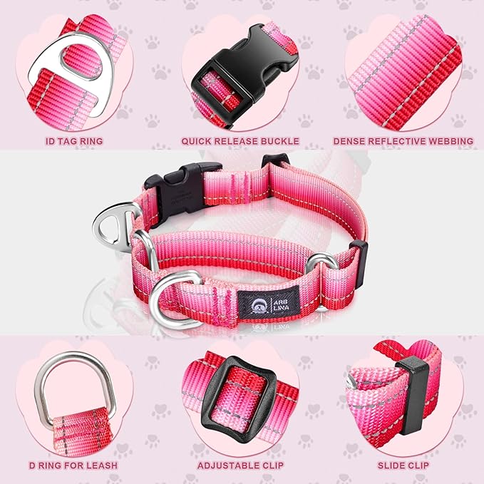 Martingale Collar for Dogs Large Medium Small Heavy Duty Buckle Dog Collar with Tag Ring Reflective Nylon Gradient Dog Collar No Pull Training Collar