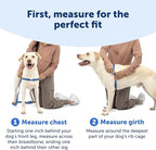 PetSafe Easy Walk Harness for Dogs - Pull-Free Walks - Patented Martingale Loop Design - Front Chest Leash Attachment - Comfort Straps - Breathable Harness Design - Small/Medium, Deep Purple/Black