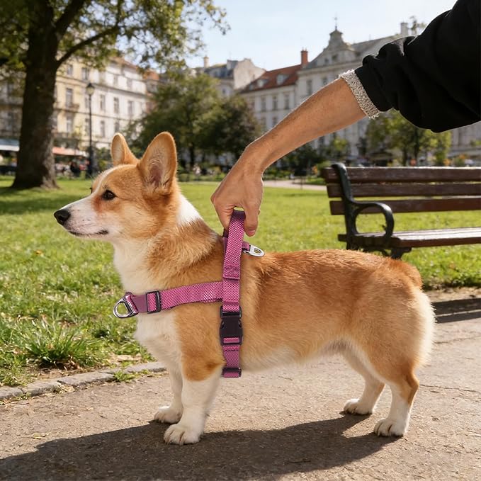 Annchwool No Pull Dog Harness with Front Clip and Easy Control Handle-Belly & Chest Adjustable Dog Harness and Leash Set for Medium Large Dogs-Heavy Duty Vest Harnesses Easy for Walking(Pink,L)