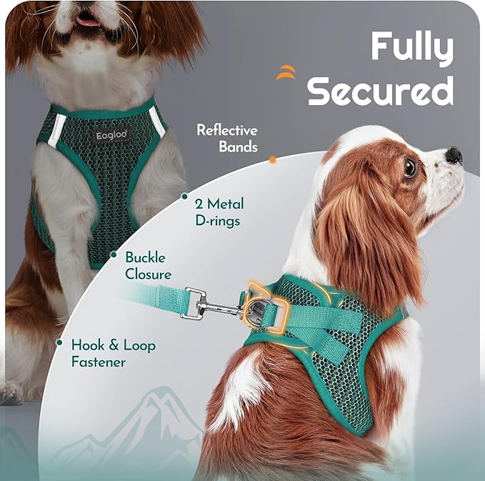 Eagloo Small Dog Harness and Leash Set, Step in Puppy Vest with Breathable Soft Mesh, Walking Reflective Pet Harness for Small Dogs, Forest Green, L