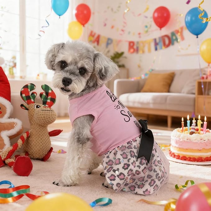Little Miss Sassy Pants Dog Dress with Leopard Print Bowknot Dog Clothes for Small Medium Large Dogs Girls Boys Cats Outfit Apparel