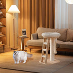 Modern Cat Tree Small Tower with Scratching Post for Indoor, Multifunctional Corner Cat Tree Tower with Bed, Cat Climbing Ladder, Dangling Ball,Interactive Rope,Scratching Post