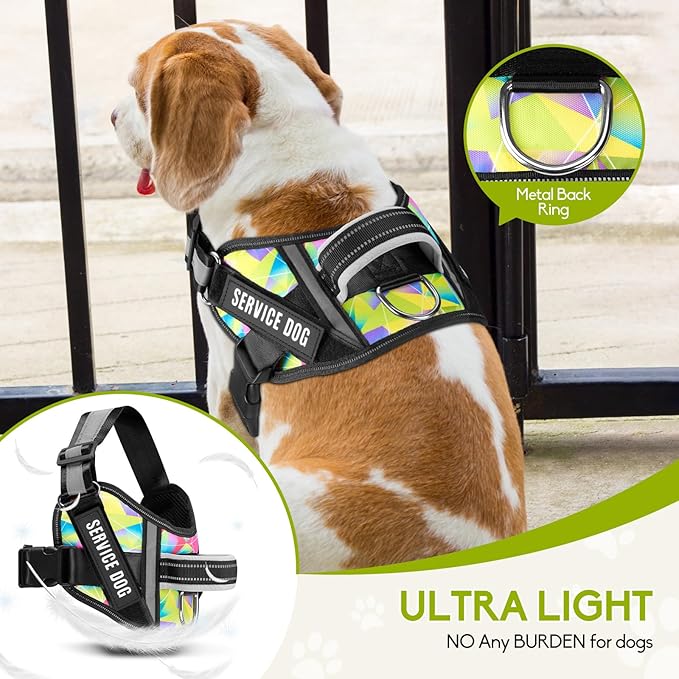 Service Dog Vest Harness and Leash Set, Animire in Training Dog Harness with 10 Dog Patches, Reflective Dog Leash with Soft Handle for Small, Medium, Large, and Extra-Large Dogs (Multi-Colored,XL)