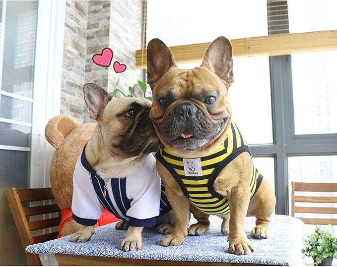 iChoue English Bulldog 100% Breathable Cotton Striped T Shirts Halloween Vest Clothes for Medium Dogs Tank Tops French Frenchie Pug Boston Terrier Pitbull Yellow Black Stripes - XLarge
