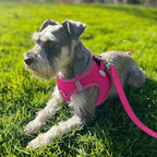 Joytale Small Dog Harness, Breathable Mesh Step-in Vest, Reflective Soft Padded Harnesses for Cats, Puppies and Extra Small Dogs, Hot Pink, XXS