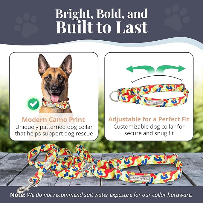 Lucky Love Dog Martingale Dog Collar & Leash - Adjustable, No-Slip, Durable, Comfortable, Soft Webbing, & Stylish Patterned Collar & Leash Set for Male and Female Dogs - Oscar Combo, Large